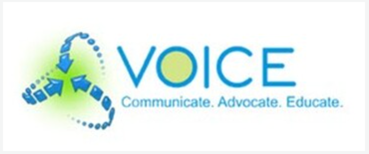 V.O.I.C.E. INC